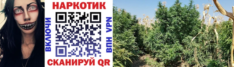 Магазины продажи наркотиков Борисоглебск Гашиш  APVP  Cocaine  МЕФ  МАРИХУАНА 