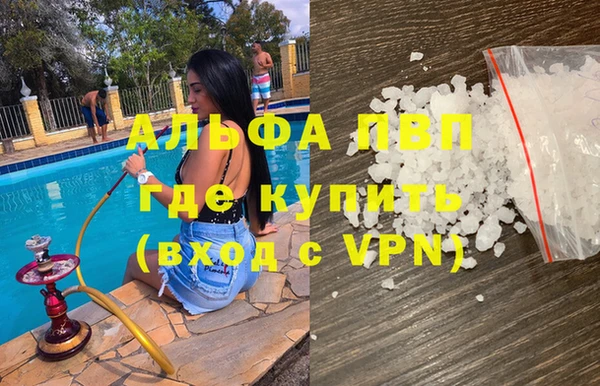 спиды Богданович